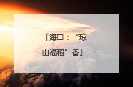 海口：“琼山福稻”香