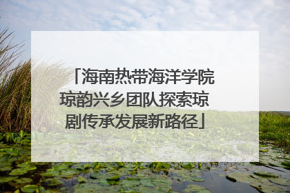 海南热带海洋学院琼韵兴乡团队探索琼剧传承发展新路径
