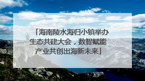 海南陵水海归小镇举办生态共建大会，数智赋能产业共创出海新未来