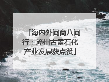海内外闽商八闽行：漳州古雷石化产业发展获点赞
