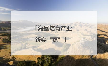 海垦培育产业新实“荔”