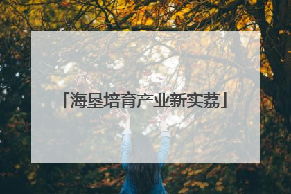 海垦培育产业新实荔