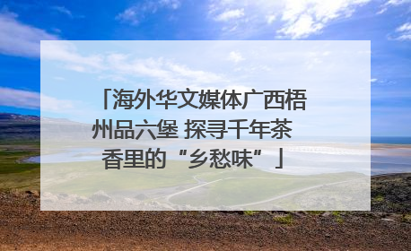 海外华文媒体广西梧州品六堡 探寻千年茶香里的“乡愁味”