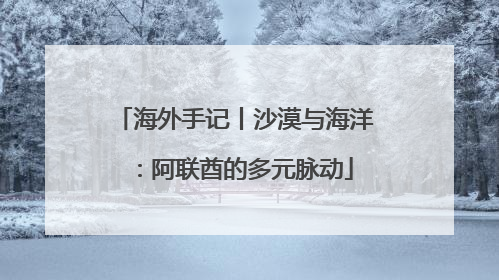 海外手记丨沙漠与海洋：阿联酋的多元脉动
