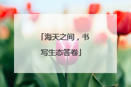 海天之间，书写生态答卷