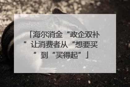 海尔消金“政企双补”让消费者从“想要买”到“买得起”
