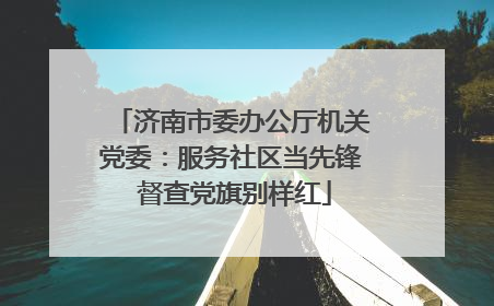 济南市委办公厅机关党委：服务社区当先锋 督查党旗别样红