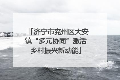 济宁市兖州区大安镇“多元协同”激活乡村振兴新动能