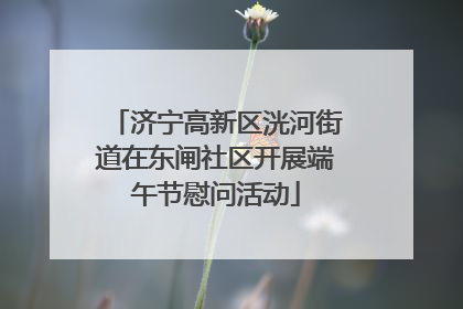 济宁高新区洸河街道在东闸社区开展端午节慰问活动