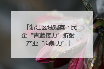 浙江区域观察：民企“青蓝接力”折射产业“向新力”