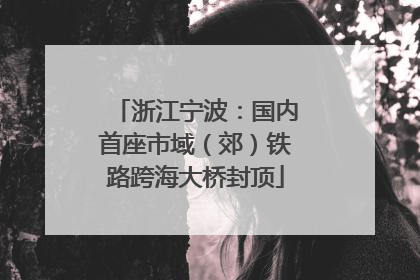浙江宁波：国内首座市域（郊）铁路跨海大桥封顶
