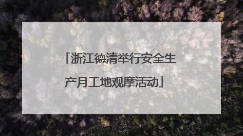 浙江德清举行安全生产月工地观摩活动