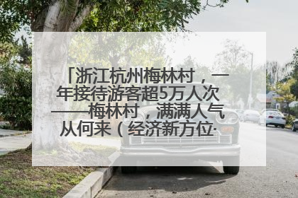 浙江杭州梅林村，一年接待游客超5万人次——梅林村，满满人气从何来（经济新方位·农村消费观察）