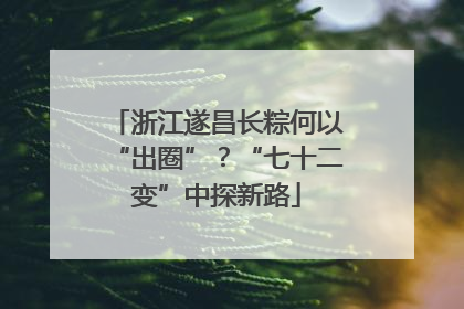 浙江遂昌长粽何以“出圈”？“七十二变”中探新路