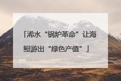 浠水“锅炉革命”让海鳗游出“绿色产值”