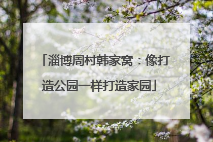 淄博周村韩家窝：像打造公园一样打造家园
