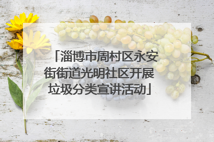 淄博市周村区永安街街道光明社区开展垃圾分类宣讲活动