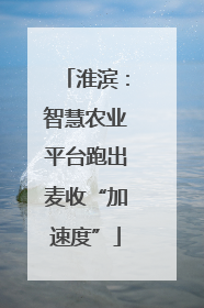 淮滨：智慧农业平台跑出麦收“加速度”