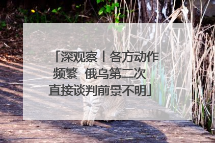 深观察丨各方动作频繁  俄乌第二次直接谈判前景不明