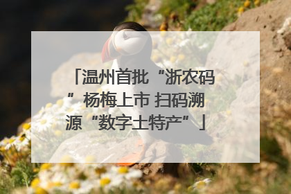 温州首批“浙农码”杨梅上市 扫码溯源“数字土特产”