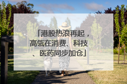 港股热浪再起，高瓴在消费、科技、医药同步加仓