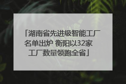湖南省先进级智能工厂名单出炉 衡阳以32家工厂数量领跑全省