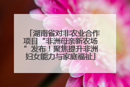 湖南省对非农业合作项目“非洲母亲新农场”发布！聚焦提升非洲妇女能力与家庭福祉