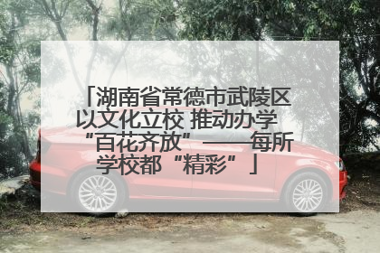 湖南省常德市武陵区以文化立校 推动办学“百花齐放”——每所学校都“精彩”