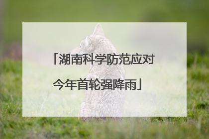 湖南科学防范应对今年首轮强降雨