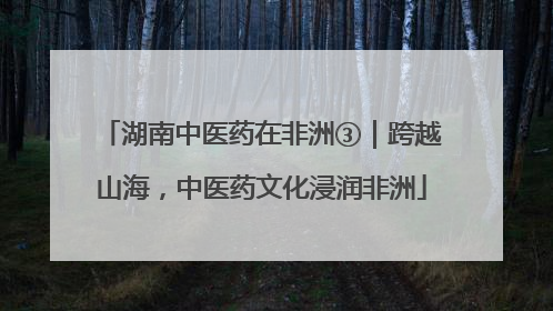 湖南中医药在非洲③｜跨越山海，中医药文化浸润非洲