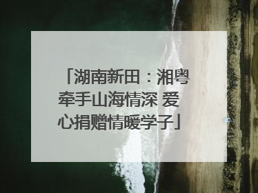 湖南新田：湘粤牵手山海情深 爱心捐赠情暖学子