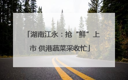 湖南江永：抢“鲜”上市 供港蔬菜采收忙