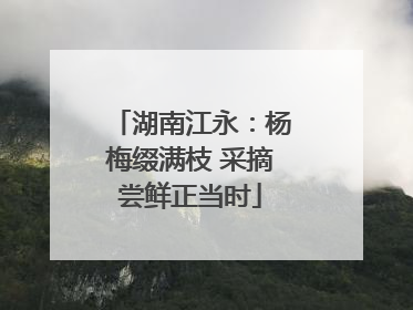 湖南江永：杨梅缀满枝 采摘尝鲜正当时