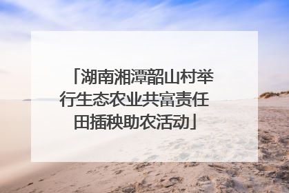 湖南湘潭韶山村举行生态农业共富责任田插秧助农活动