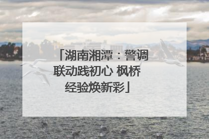 湖南湘潭：警调联动践初心 枫桥经验焕新彩