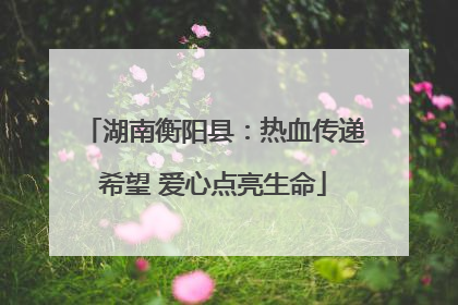 湖南衡阳县：热血传递希望 爱心点亮生命