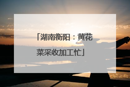 湖南衡阳：黄花菜采收加工忙
