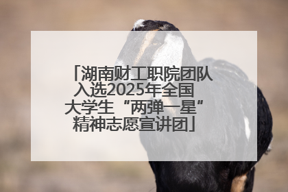 湖南财工职院团队入选2025年全国大学生“两弹一星”精神志愿宣讲团