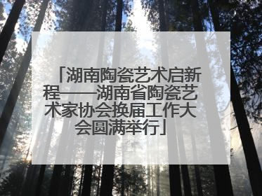 湖南陶瓷艺术启新程——湖南省陶瓷艺术家协会换届工作大会圆满举行