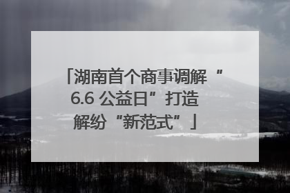 湖南首个商事调解“6.6 公益日”打造解纷“新范式”