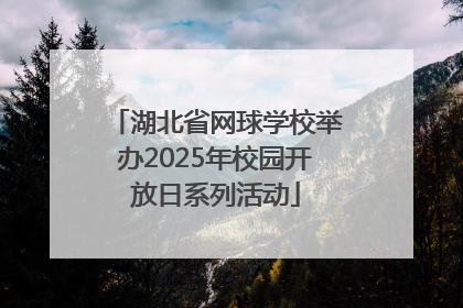 湖北省网球学校举办2025年校园开放日系列活动