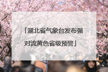 湖北省气象台发布强对流黄色省级预警