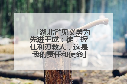 湖北省见义勇为先进王成：徒手握住利刃救人，这是我的责任和使命