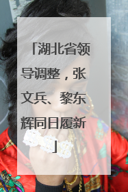 湖北省领导调整，张文兵、黎东辉同日履新
