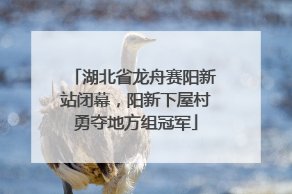 湖北省龙舟赛阳新站闭幕，阳新下屋村勇夺地方组冠军