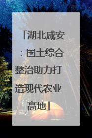 湖北咸安：国土综合整治助力打造现代农业高地