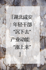 湖北咸安：年轻干部“沉下去” 产业动能“涨上来”