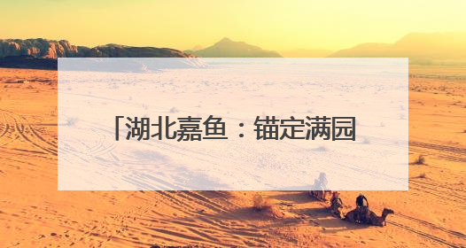 湖北嘉鱼：锚定满园工程，多维度发力推动园区高质量发展