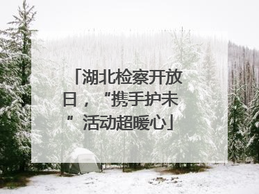 湖北检察开放日，“携手护未”活动超暖心