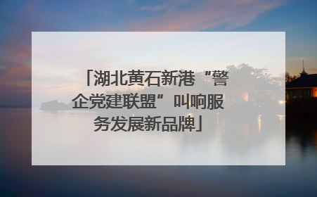 湖北黄石新港“警企党建联盟”叫响服务发展新品牌